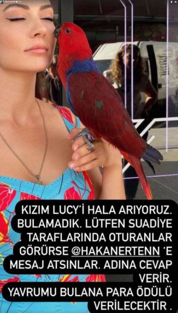 burcu ozberk in papagani lucy kacti bulana paa odulu verecek